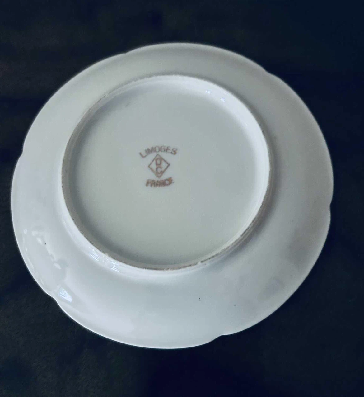 Limoges France Chateau Fontainebleau Display Plate - photo 2