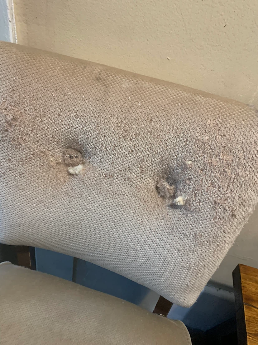 Vintage Side Chair - photo 4