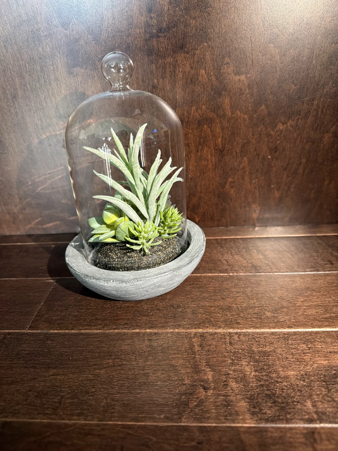 Bouclair Succulent Terrarium