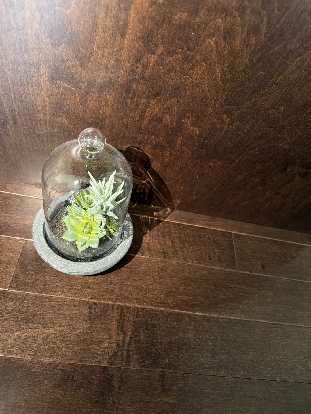 Bouclair Succulent Terrarium - photo 2