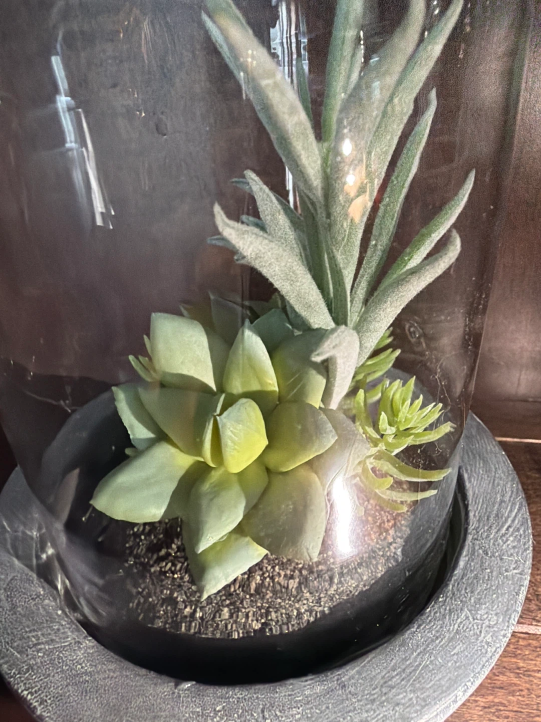 Bouclair Succulent Terrarium - photo 3