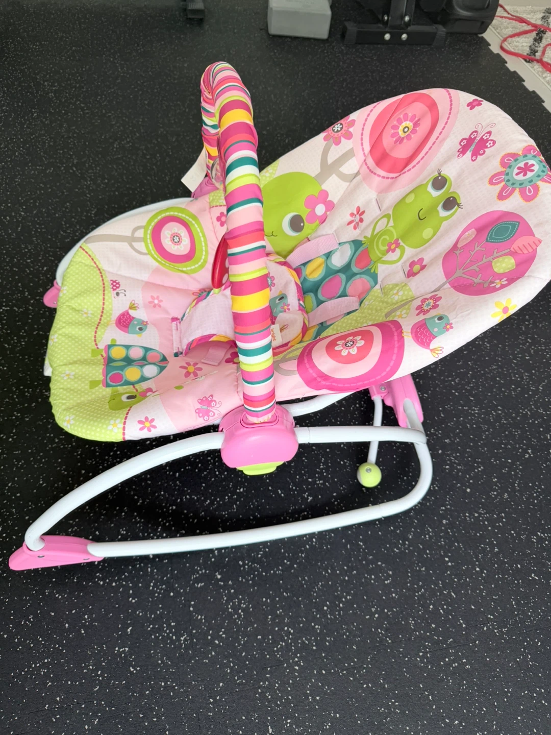 Bright Starts Raspberry Garden Rocker