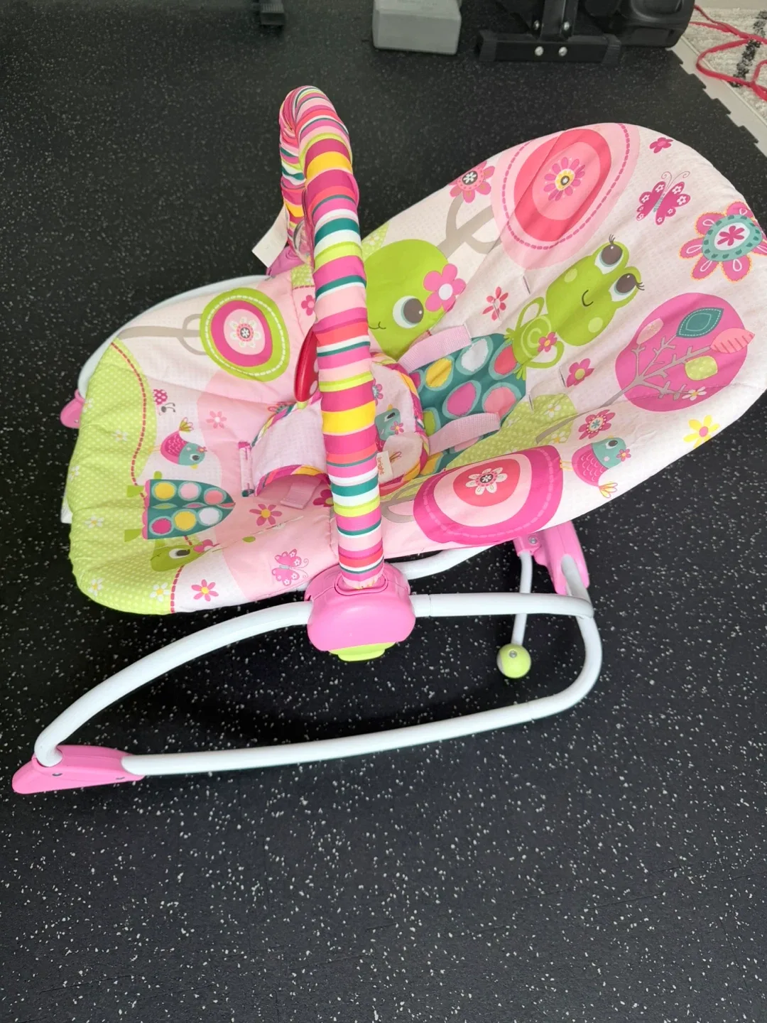 Bright Starts Raspberry Garden Rocker