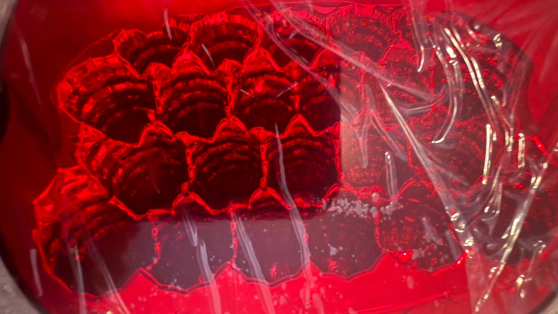 Red LED Light Assembly