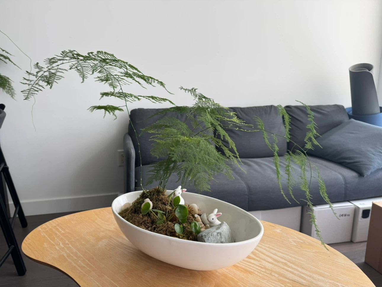 Asparagus Fern Terrarium with Bunny Figurines - photo 4