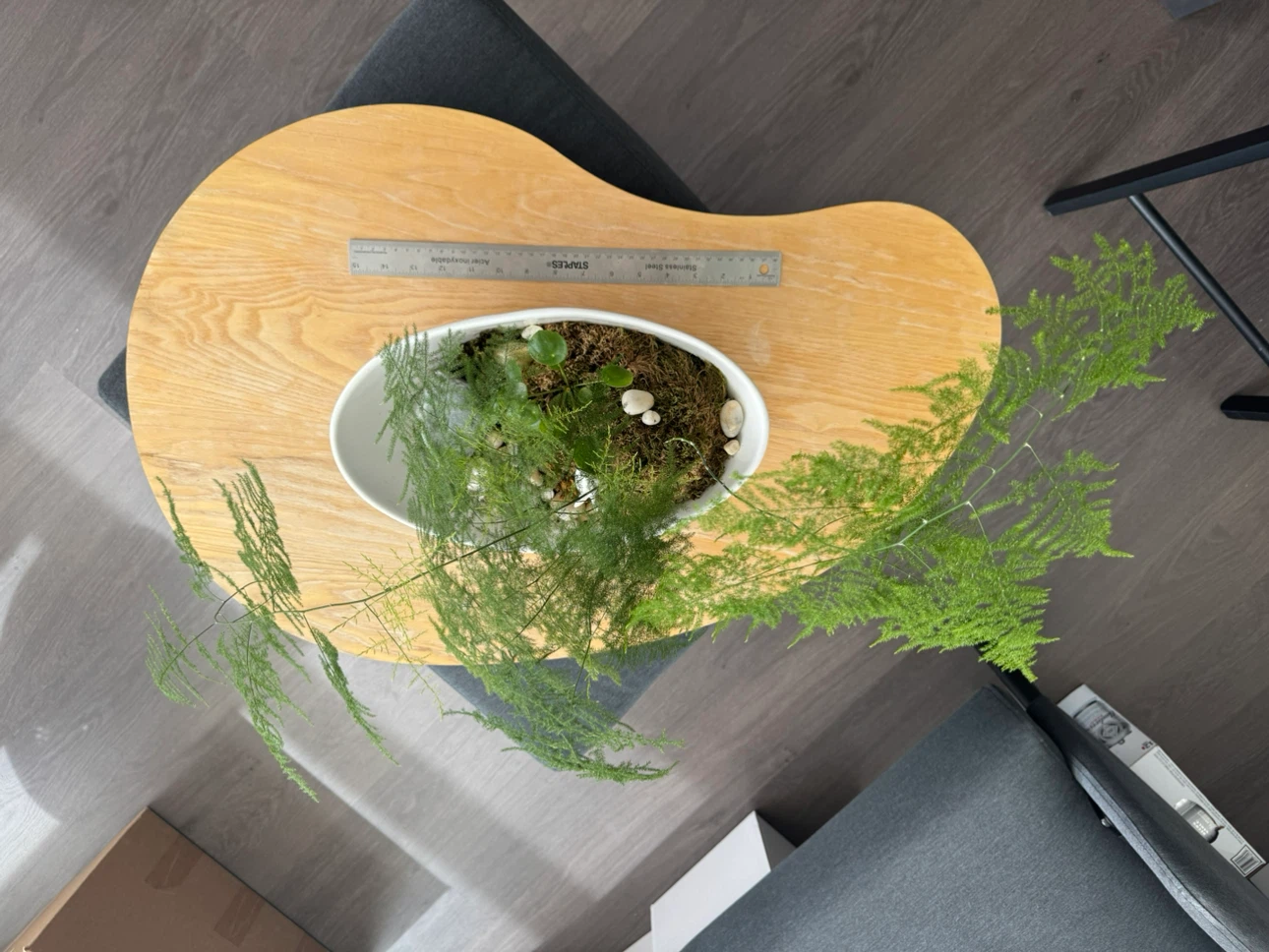 Asparagus Fern Terrarium with Bunny Figurines - photo 5