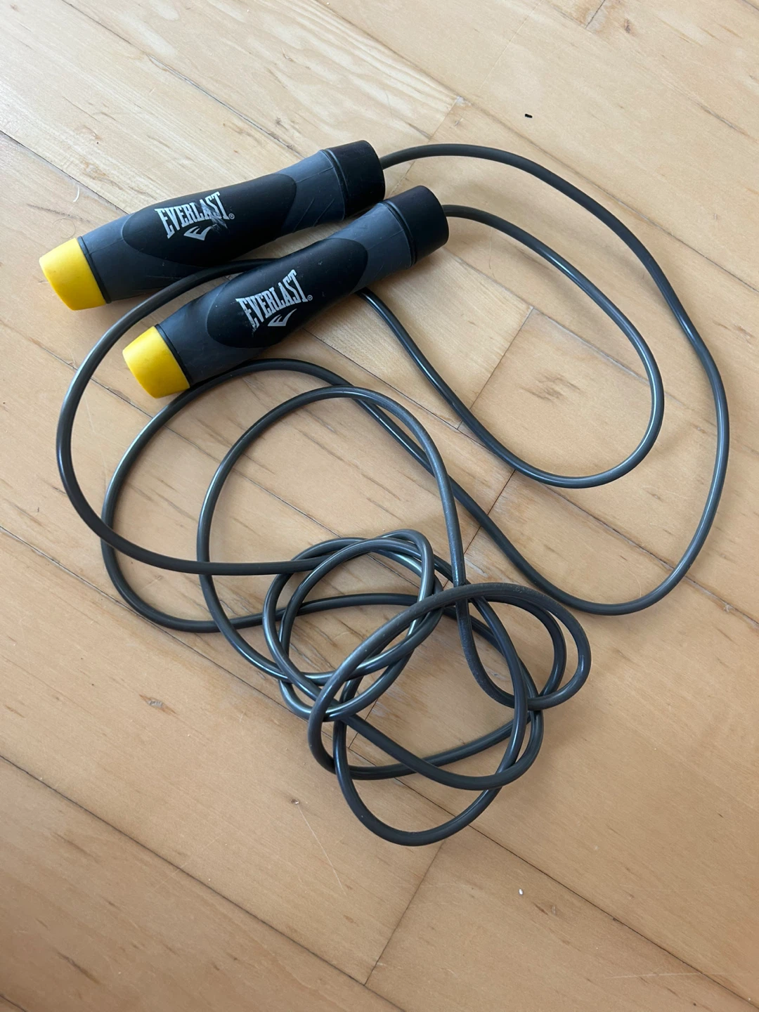 Everlast weighted skipping rope