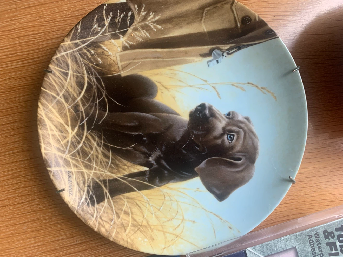 8 Decorative Puppy/Dog Plates - Field Puppies Collection