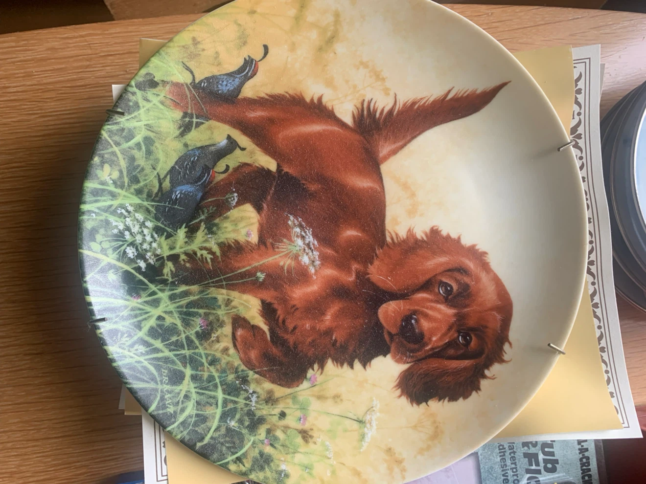 8 Decorative Puppy/Dog Plates - Field Puppies Collection - photo 4
