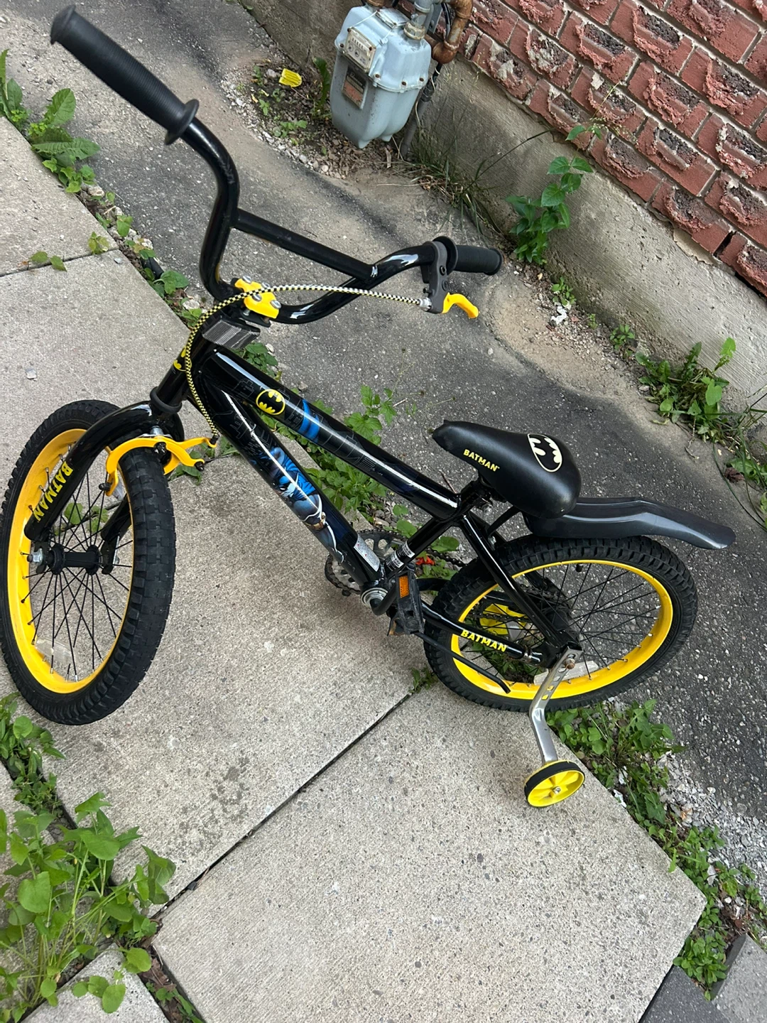 Batman Kids Bike with Training Wheels