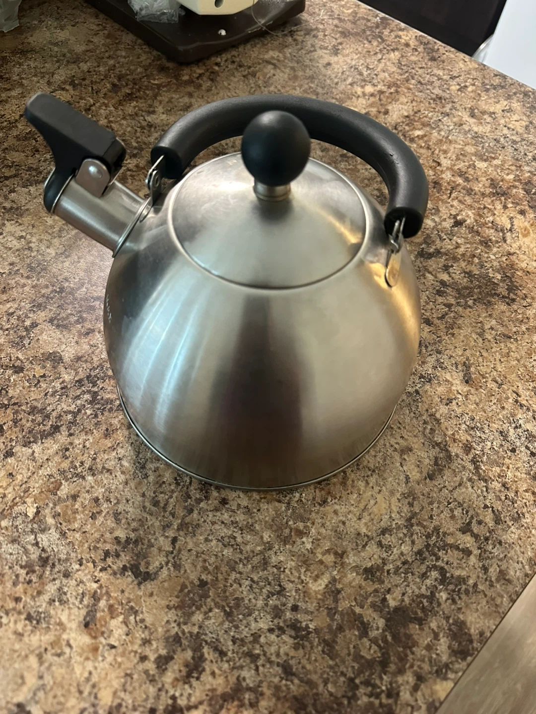 Stainless Steel Stovetop Kettle