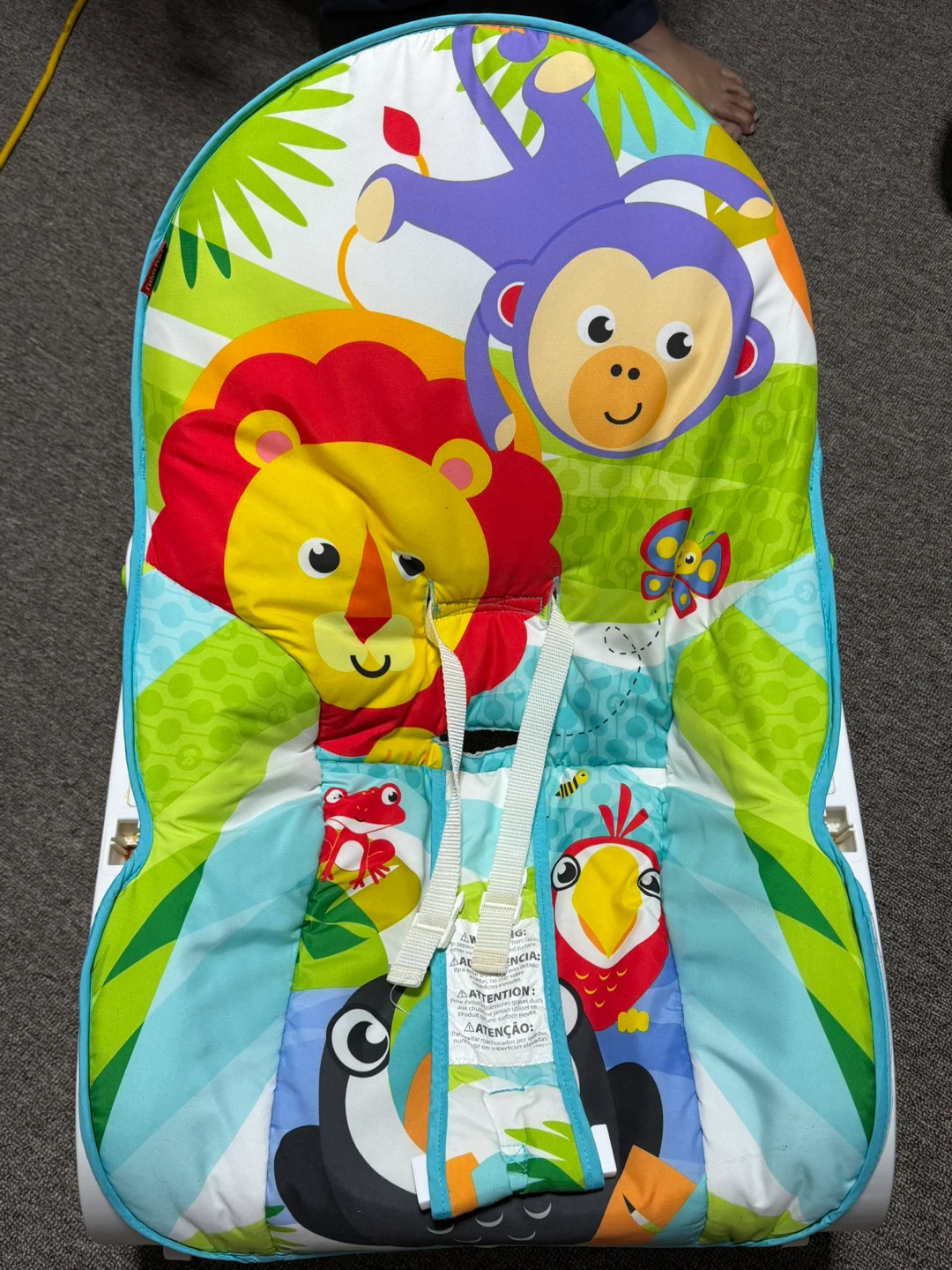 Fisher-Price Baby Bouncer Seat