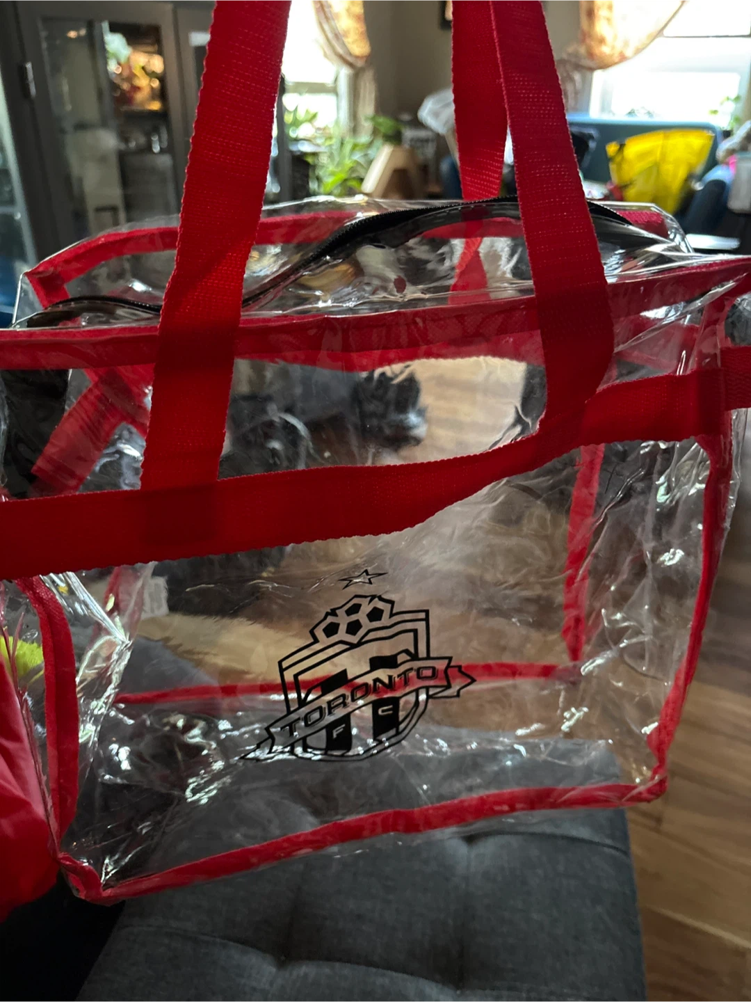 Toronto FC Clear Stadium Bag - photo 3