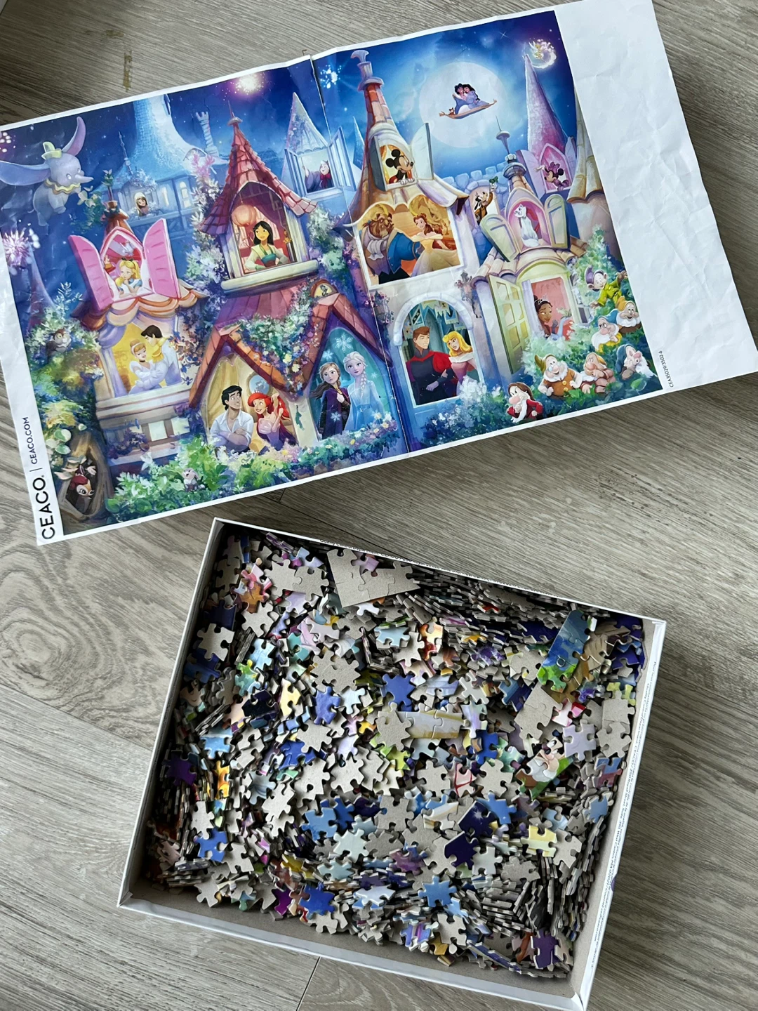 Disney 2000 Piece Puzzle - photo 2