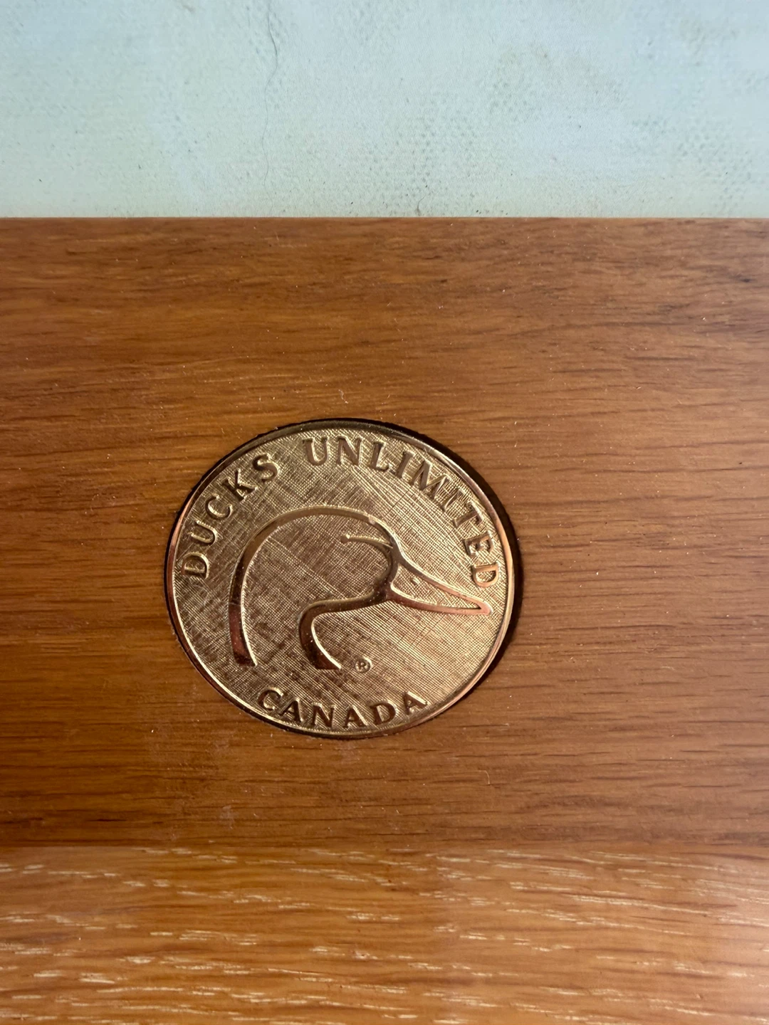 Ducks Unlimited Canada "Puppy Love" Wall Art/Coat Hanger - photo 4