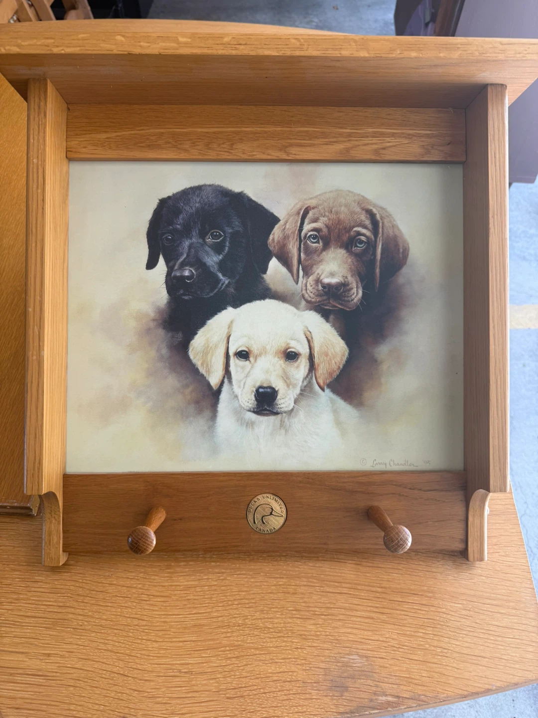 Ducks Unlimited Canada "Puppy Love" Wall Art/Coat Hanger
