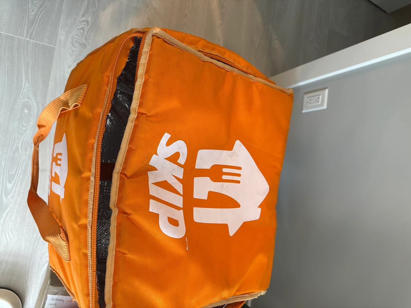 SkipTheDishes Insulated Delivery Bag