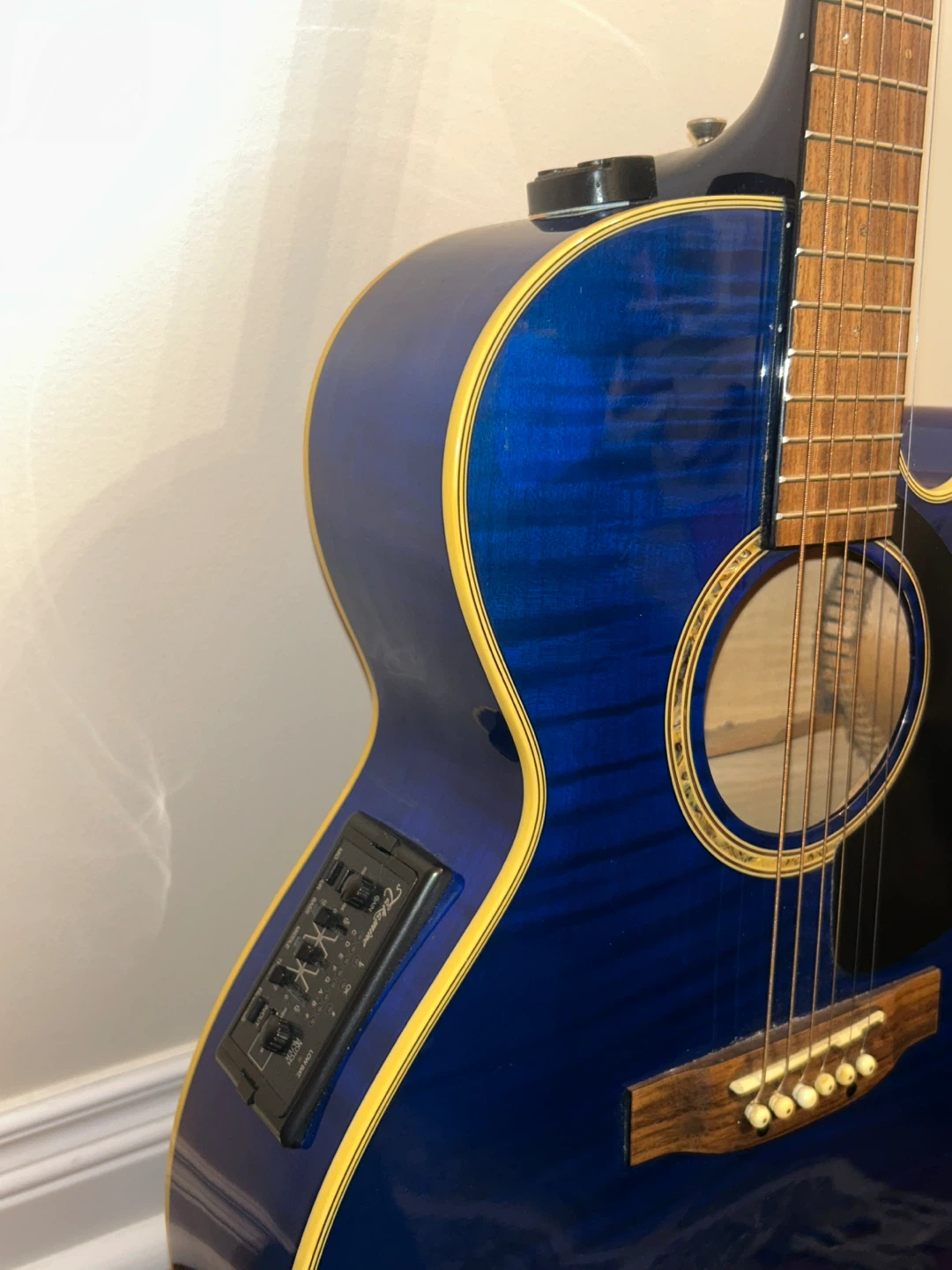 Takamine Acoustic/Electric Guitar - photo 2
