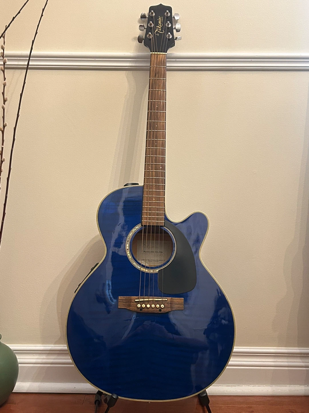Takamine Acoustic/Electric Guitar