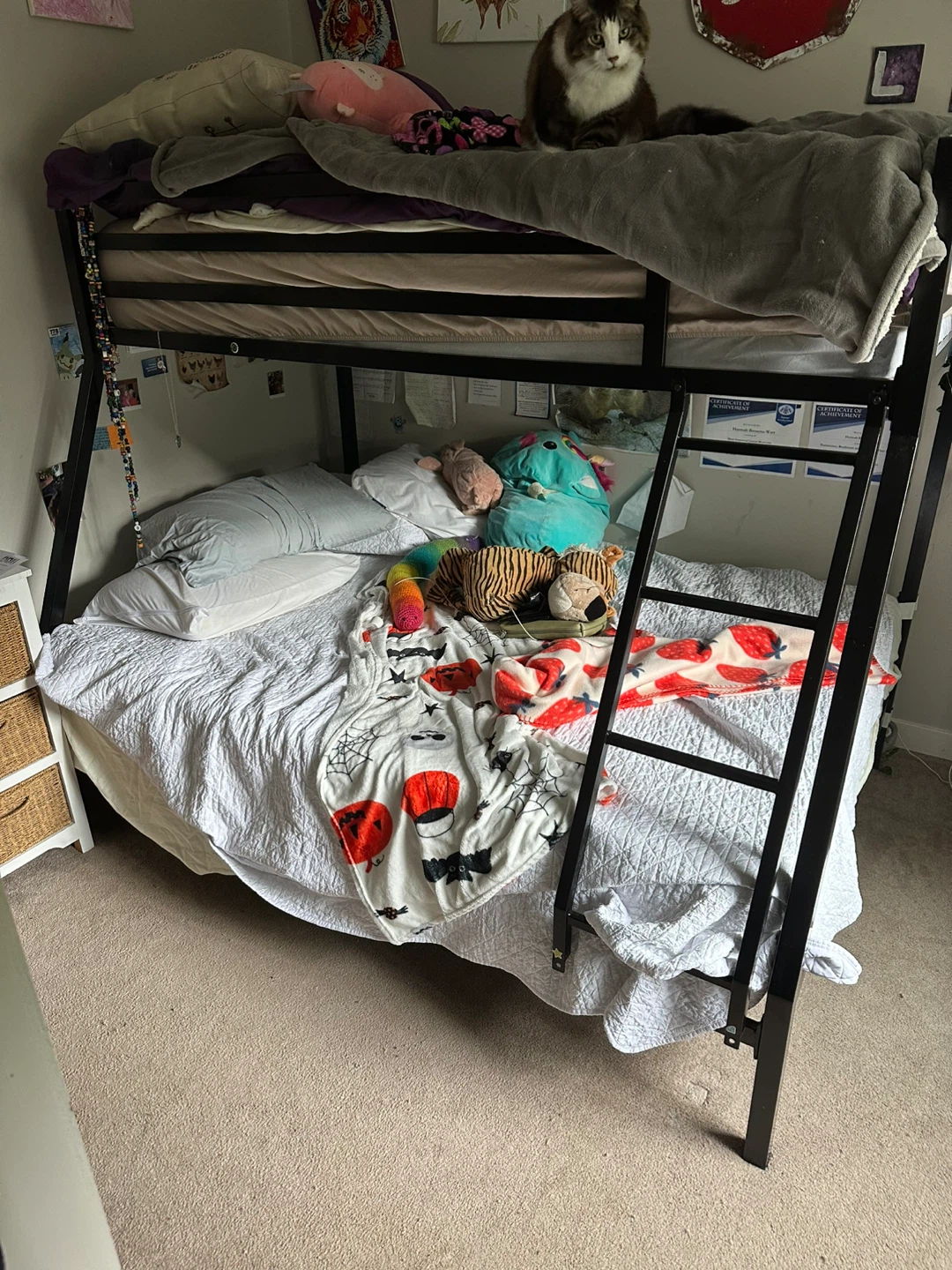FREE bunk bed