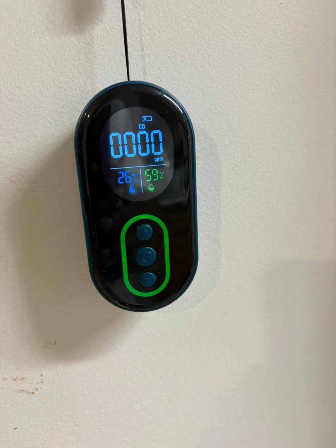 Carbon Monoxide Detector - photo 2