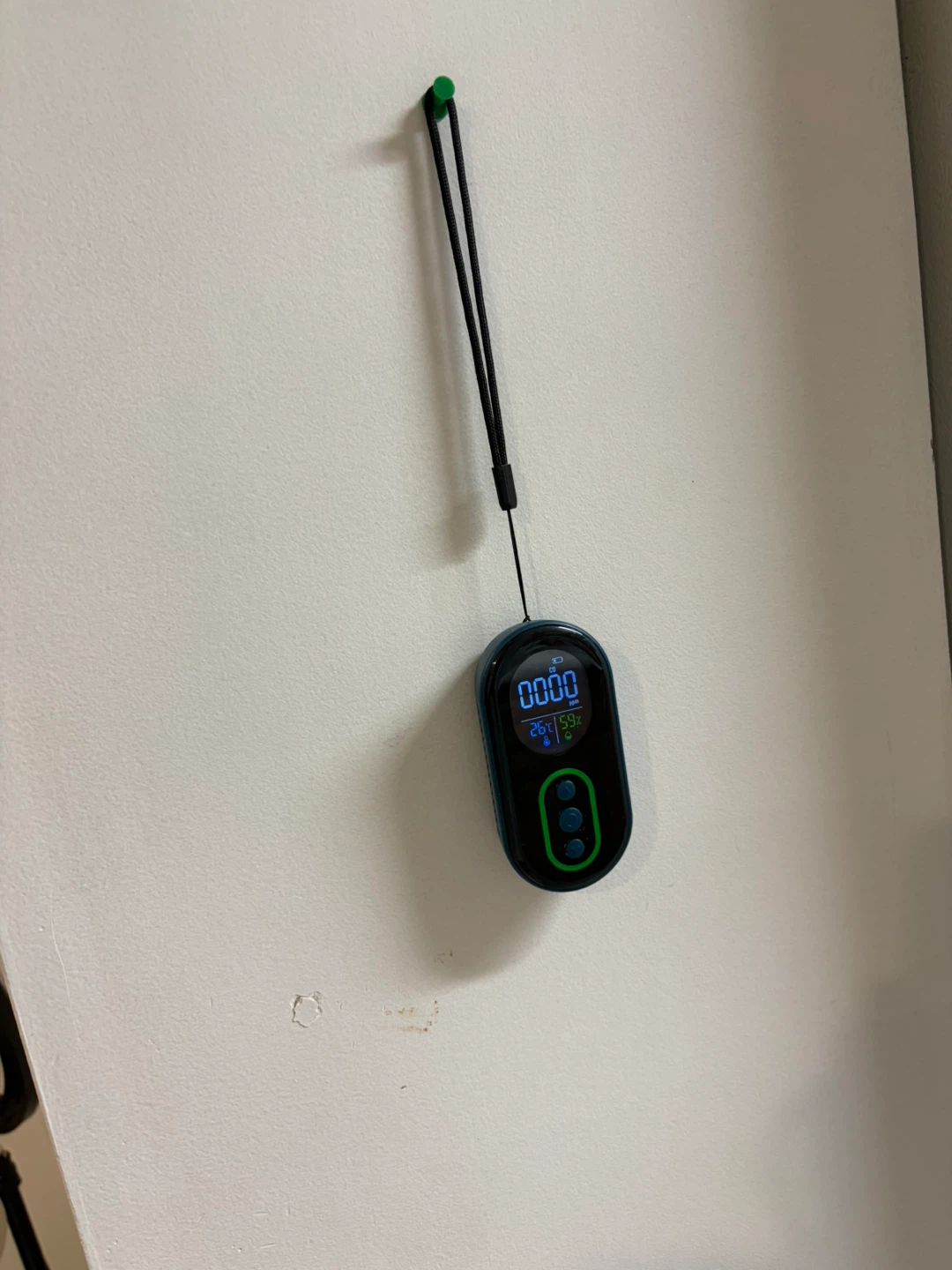 Carbon Monoxide Detector - photo 3