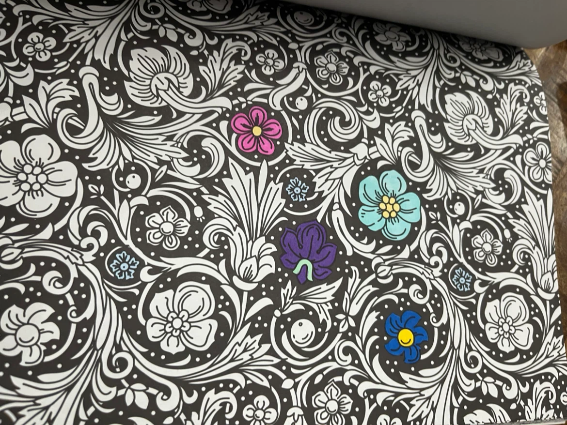 Adult Coloring Books Bundle - photo 2