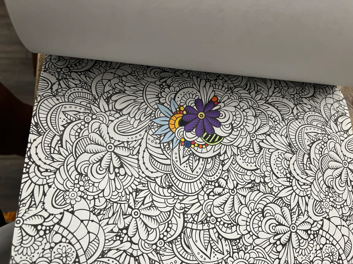 Adult Coloring Books Bundle - photo 3