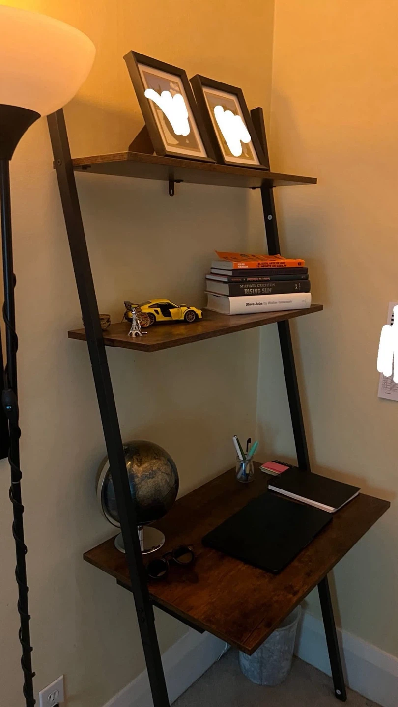 Bookshelf Desk Ladder Style