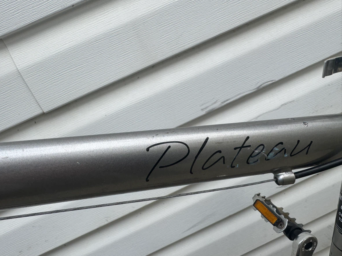 Infinity Hybrid Aluminum Bike - photo 5