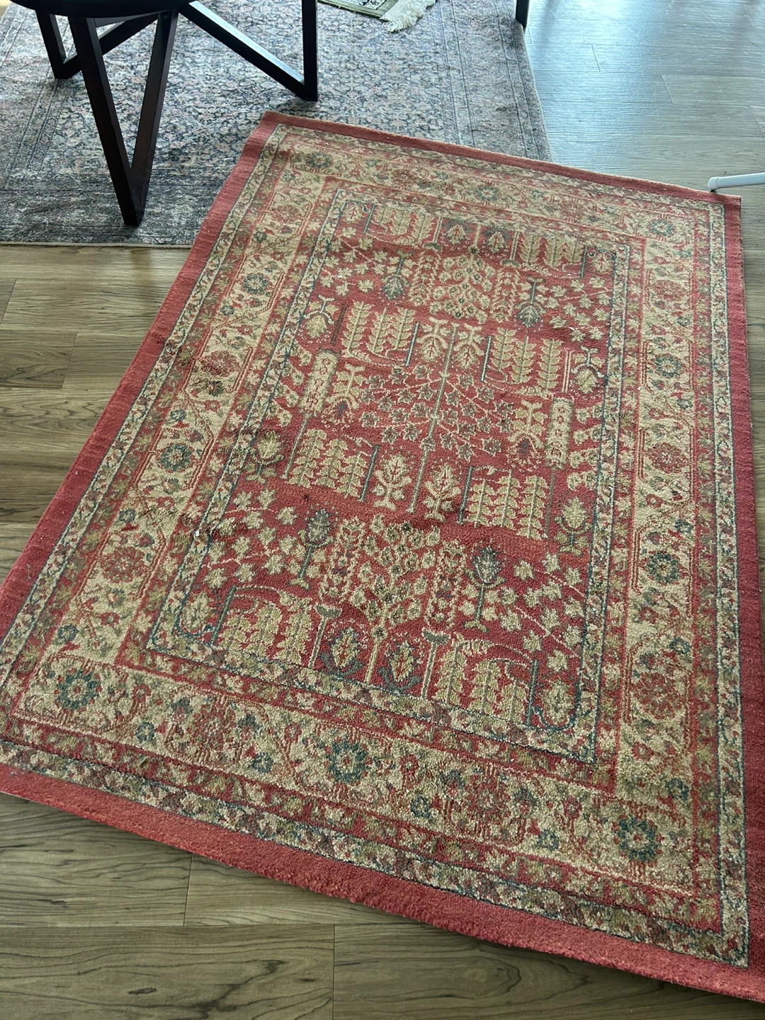 Oriental Area Rug made in Turkey great condition