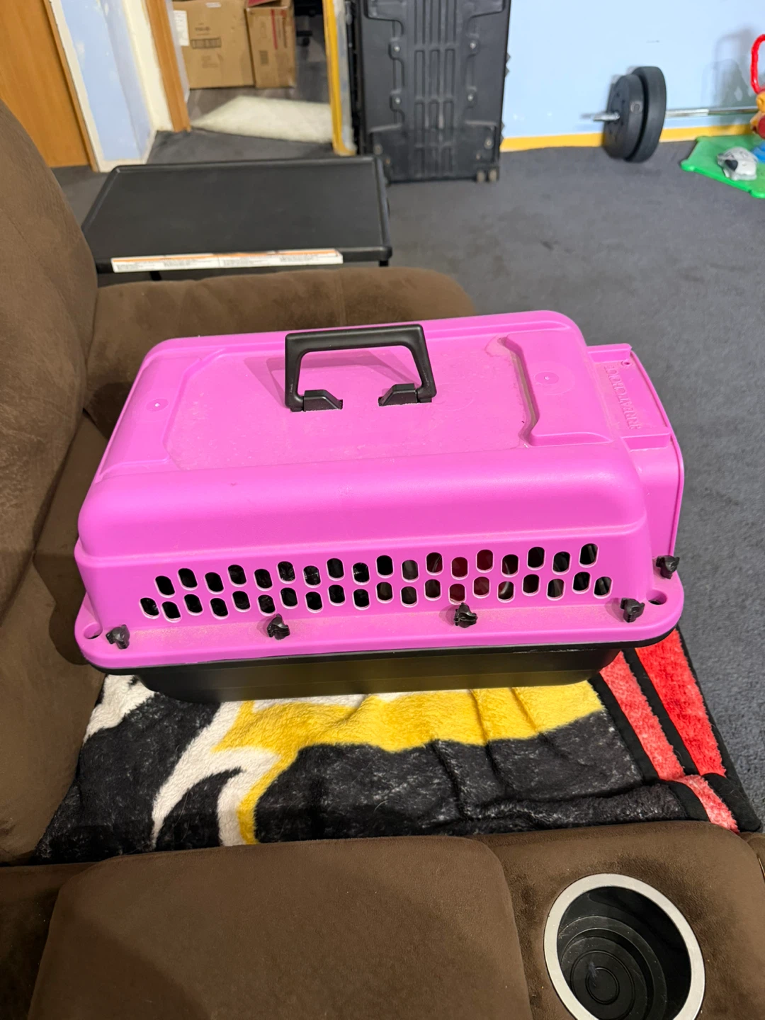 Great Choice Pink Pet Carrier