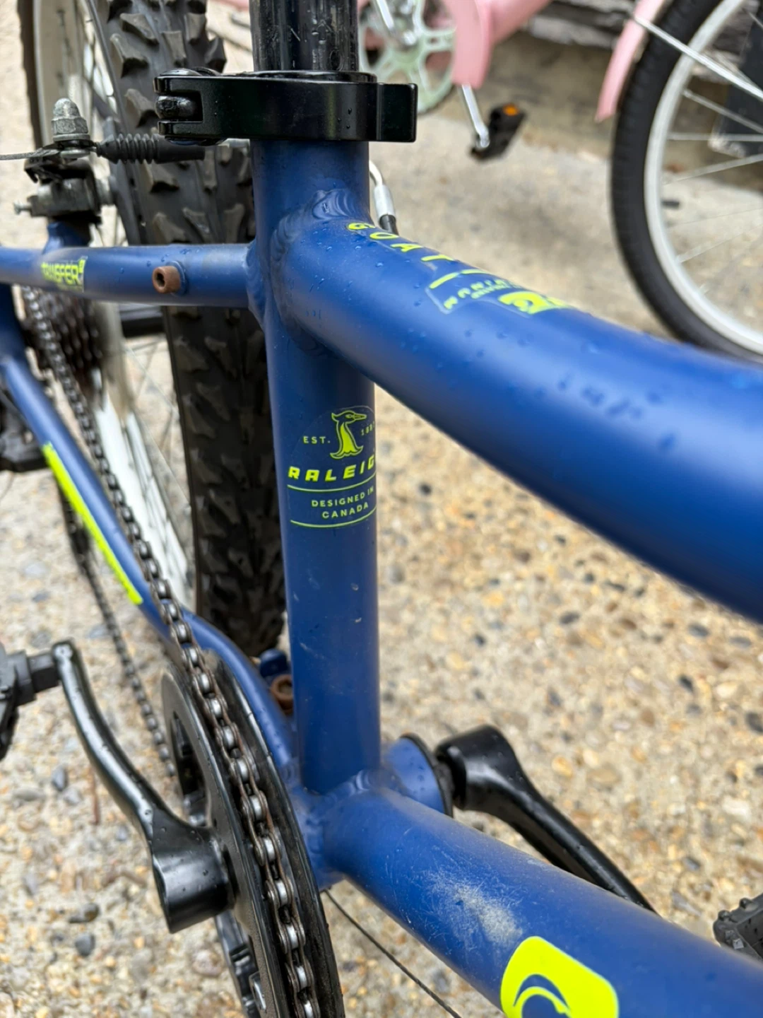 Raleigh Kids Bike - Blue - photo 3