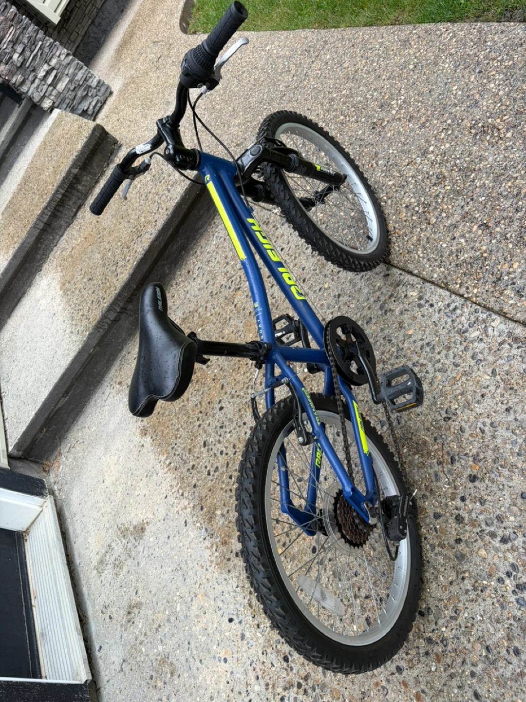 Raleigh Kids Bike - Blue