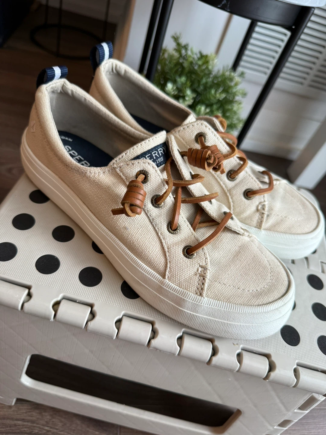 MOVE OUT SALE! Sperry Women’s Canvas Sneakers