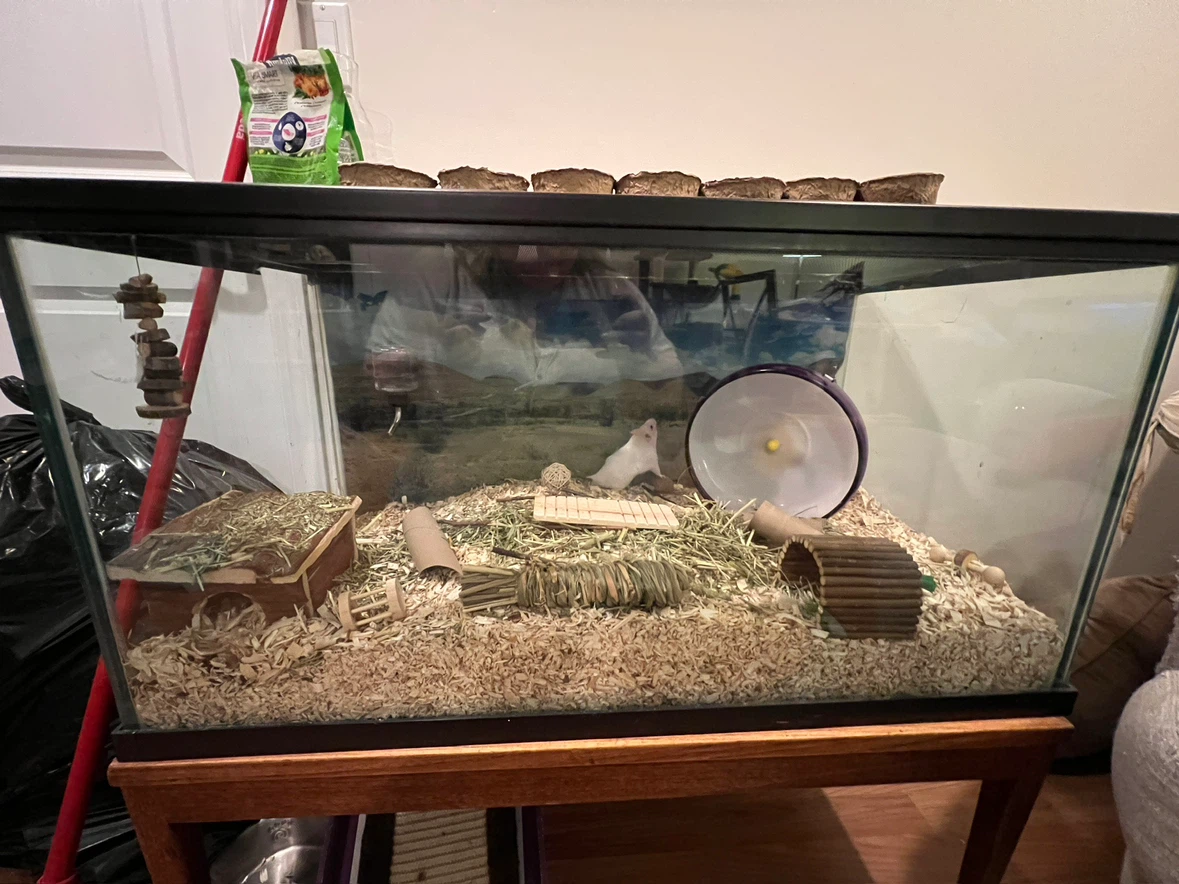 40-50gal Tank (Reptile/Rodent)