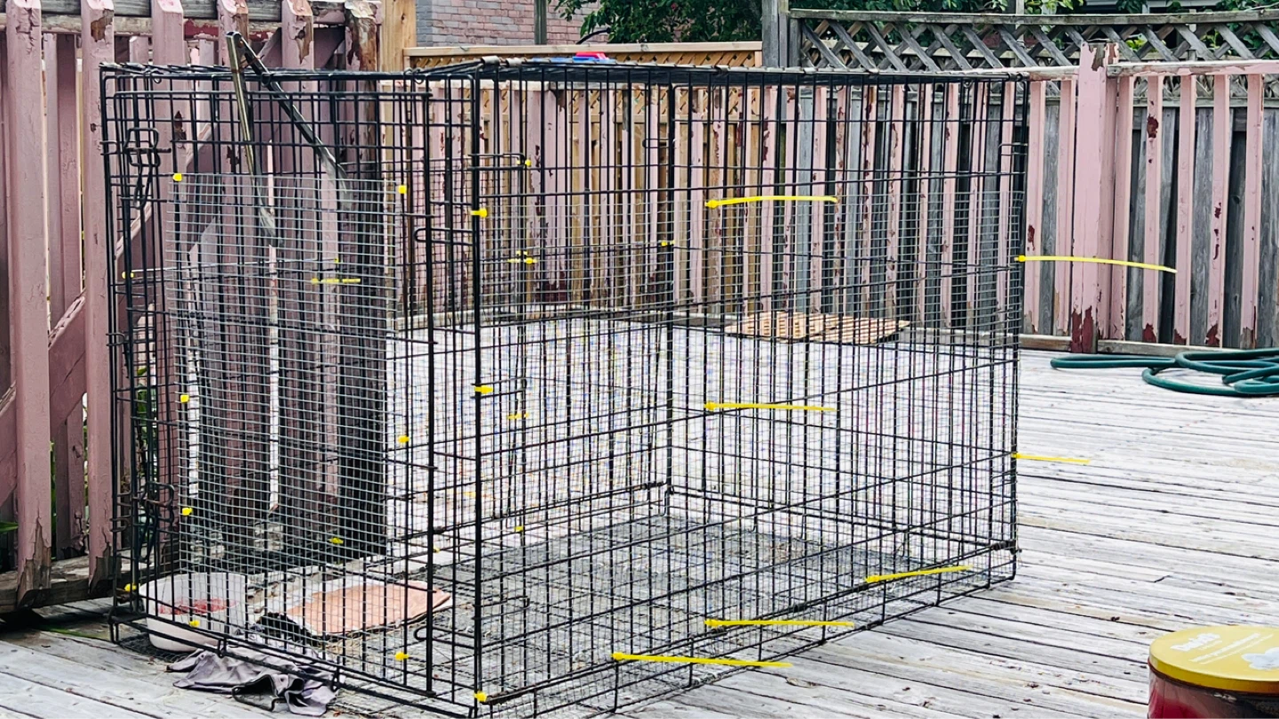 Large Wire Dog Crate