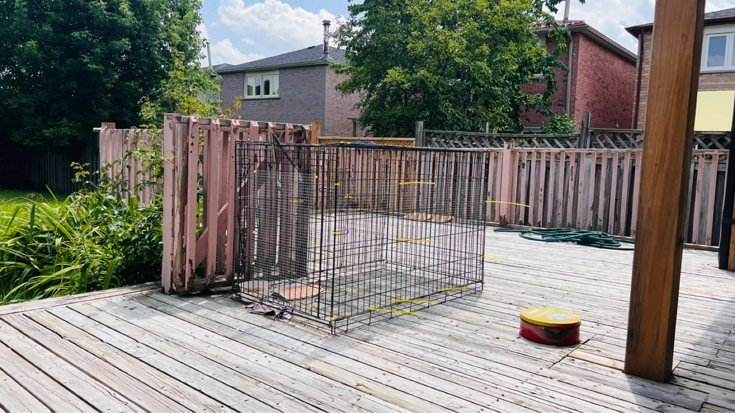 Large Wire Dog Crate - photo 2