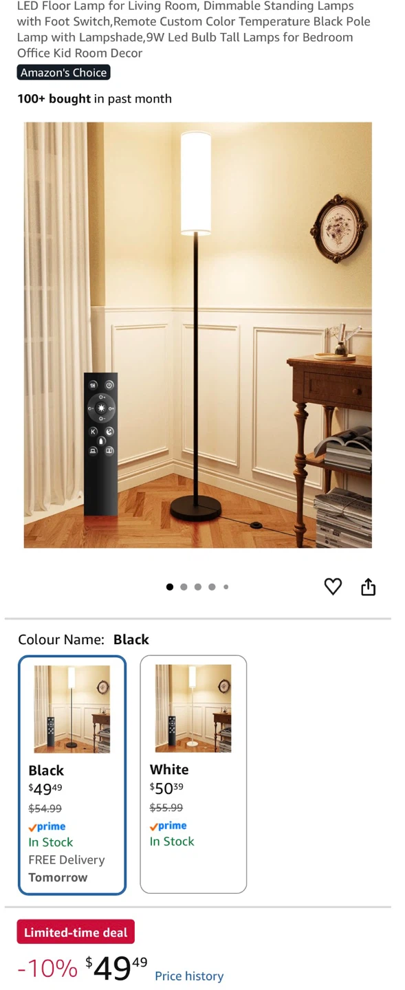 LED Floor Lamp