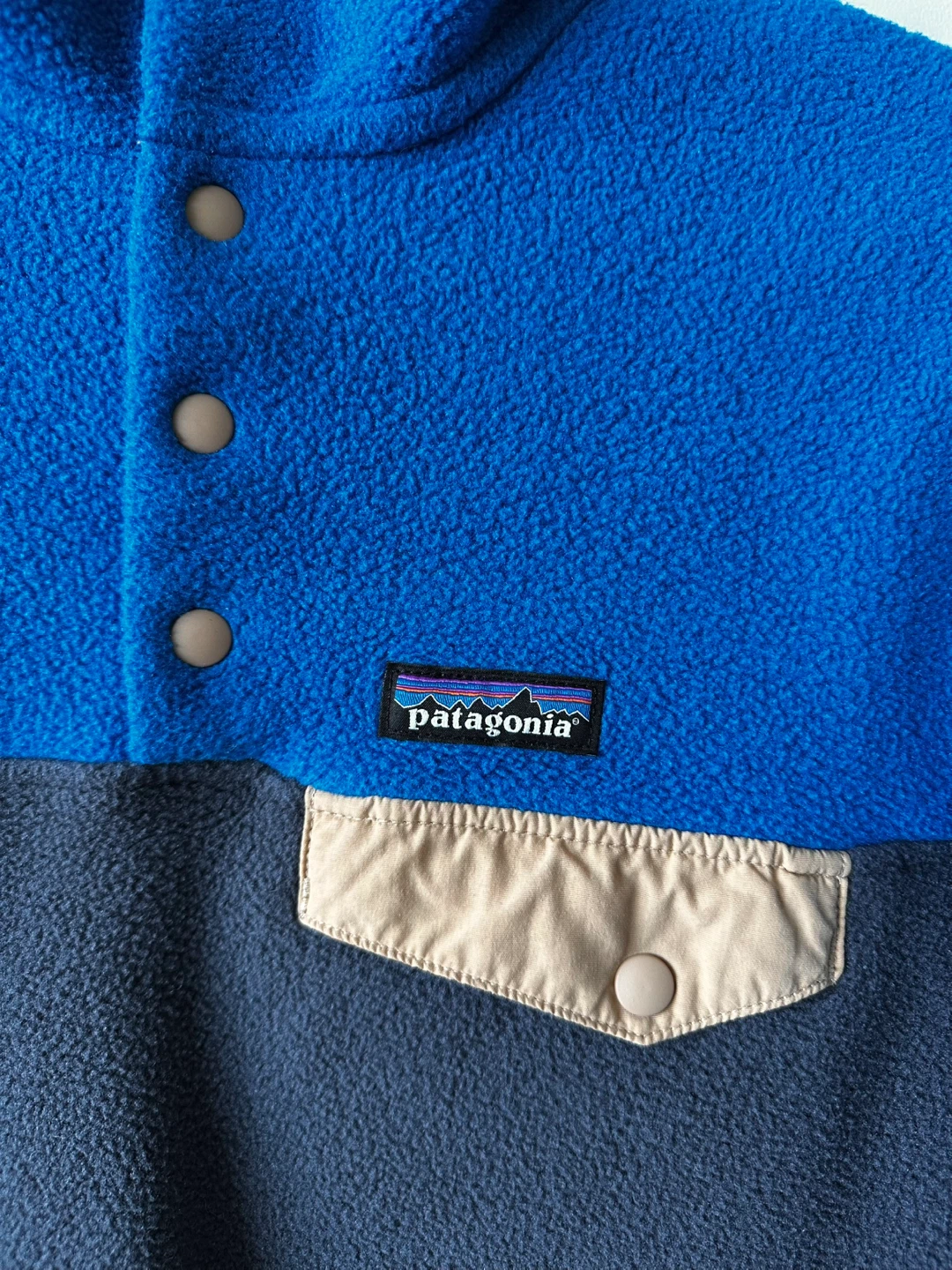 Patagonia Synchilla Fleece - photo 3