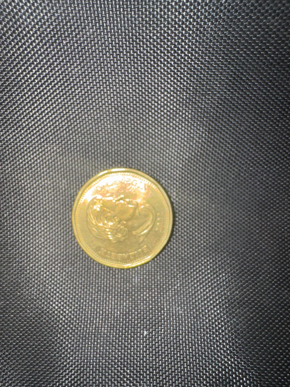 Canada Dollar Coin