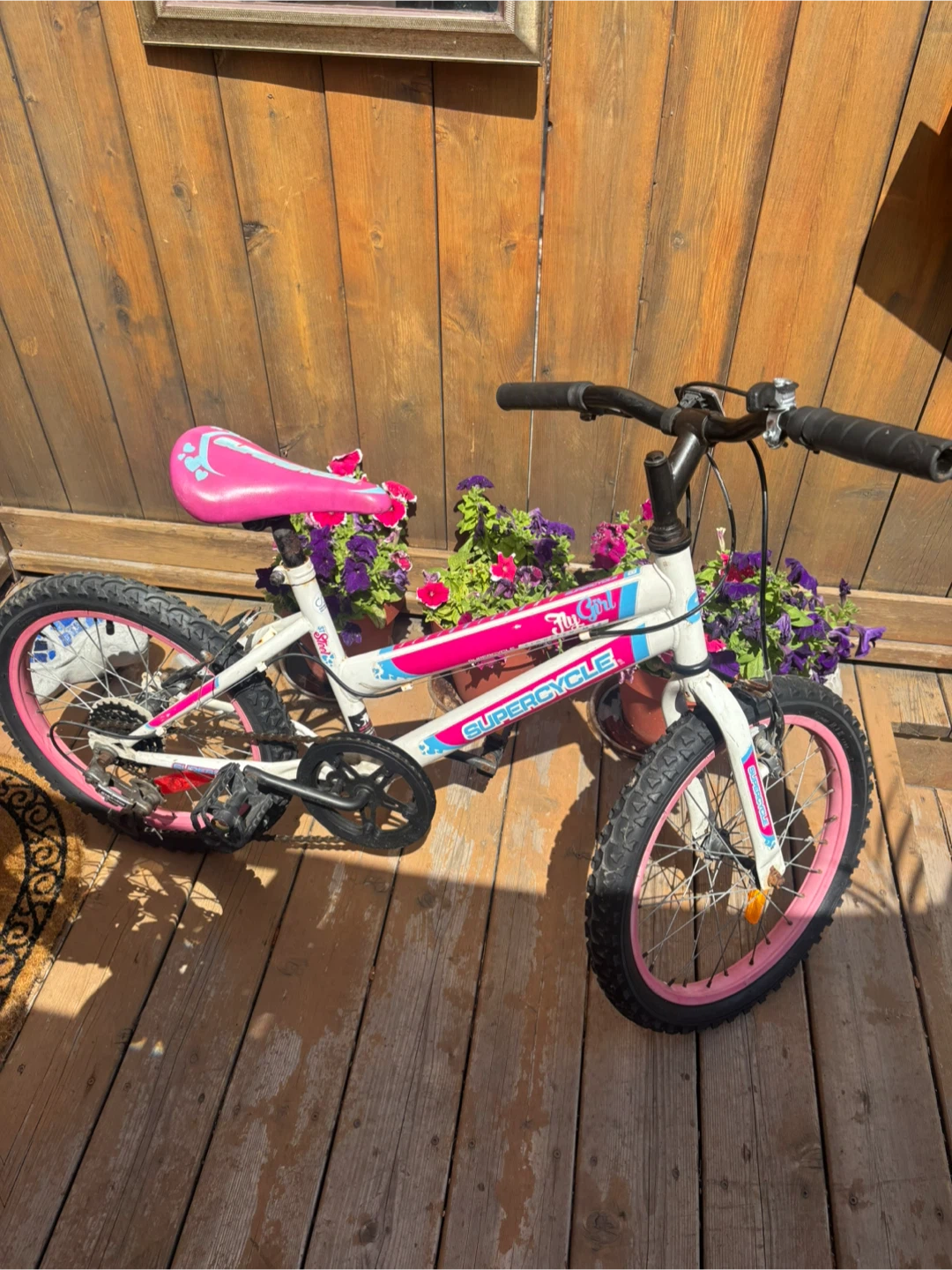 Supercycle "Fly Girl" Kids Bike - photo 5