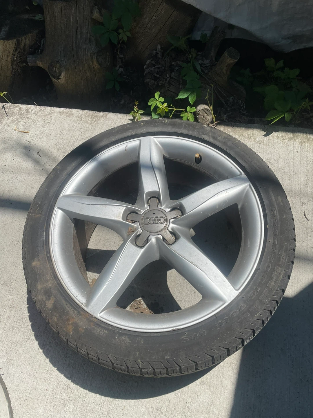 Audi rims and tires