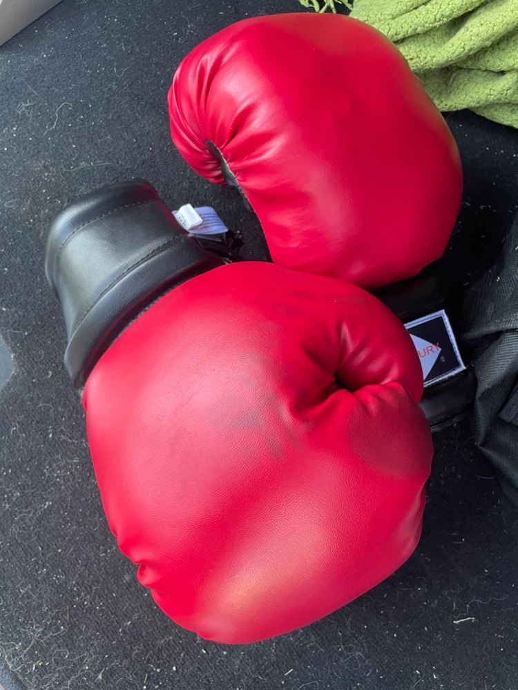 Century Boxing Gloves - Red