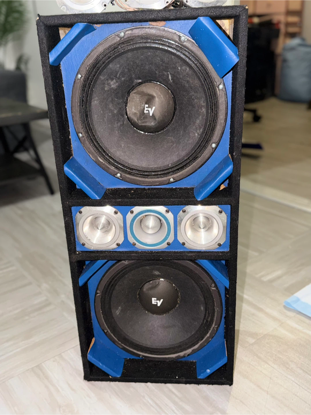 EV 2-Way Speaker Cabinet