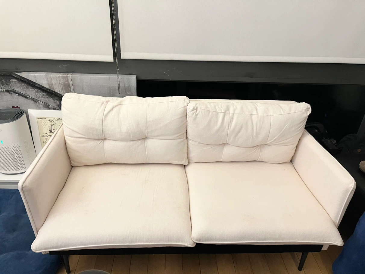 50" Loveseat Sofa