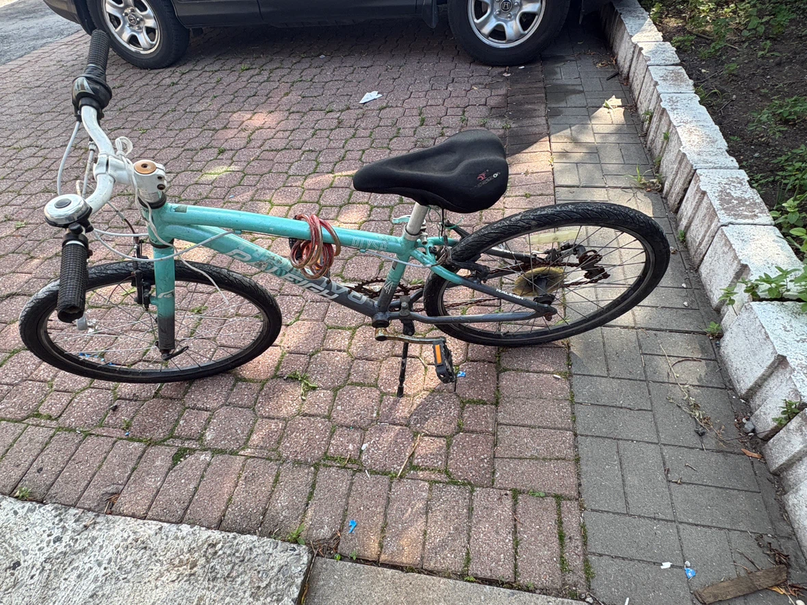 Raleigh Bicycle