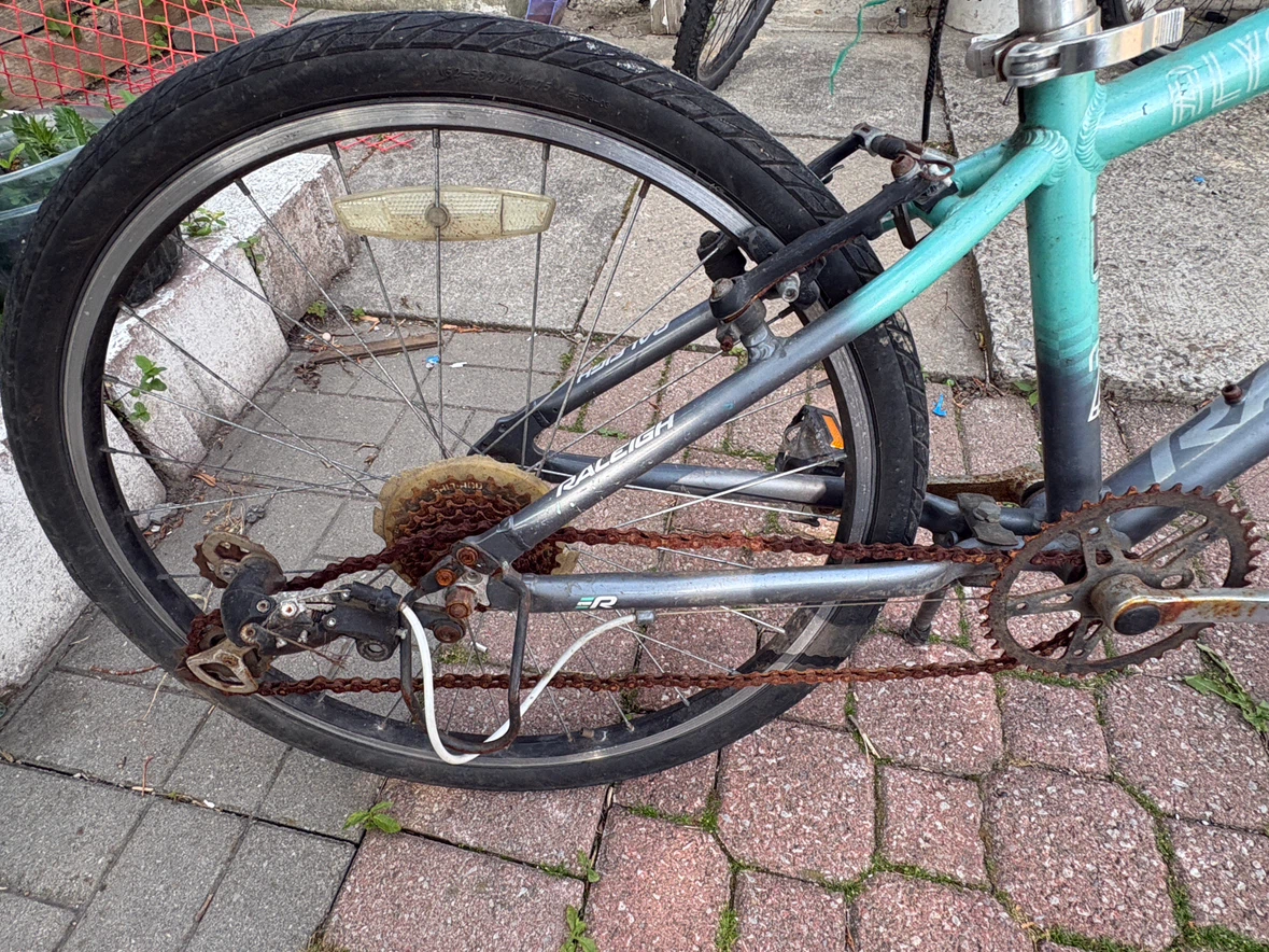 Raleigh Bicycle - photo 4