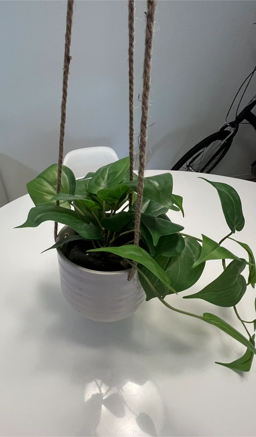 Ceramic Hanging Planter Pot with Rope