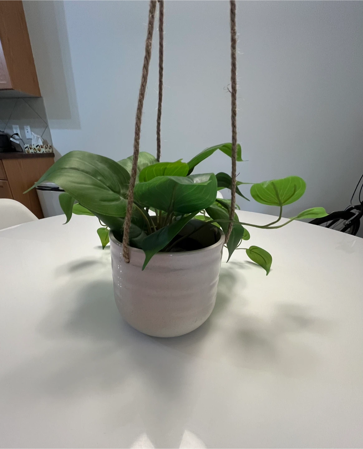 Ceramic Hanging Planter Pot with Rope - photo 2